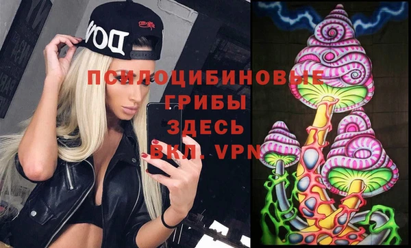 мяу мяу мука Кодинск