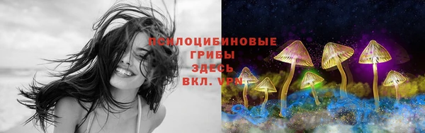 ALPHA-PVP Козельск