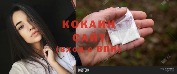 мяу мяу мука Кодинск