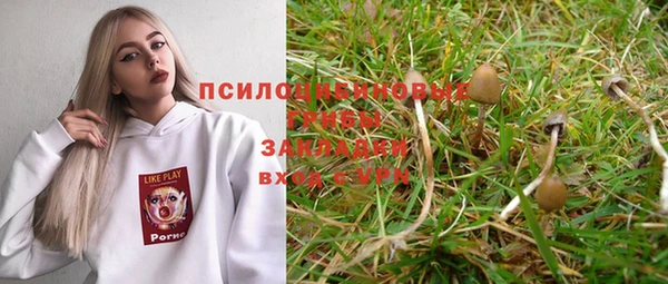 прущая мука Козловка