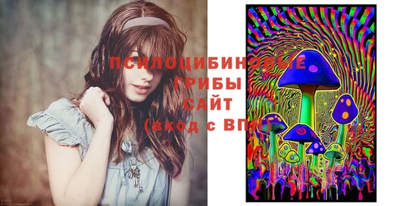 прущая мука Козловка