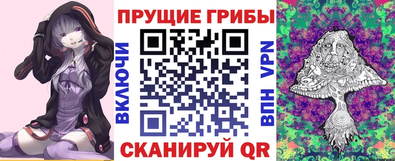Купить где  Усть-Катав  Псилоцибиновые грибы Psilocybine cubensis 